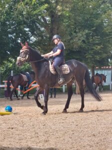 Besen und Ball waren nicht jedermanns Freund